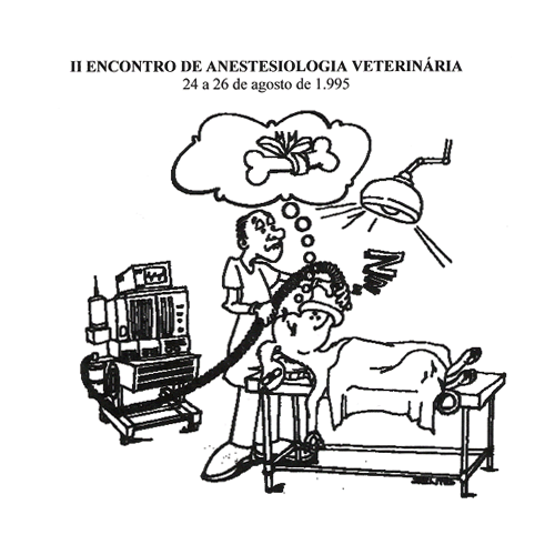 II EAV - Londrina (PR)