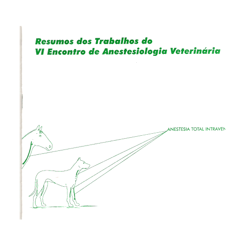 VI EAV - Passo Fundo (RS)